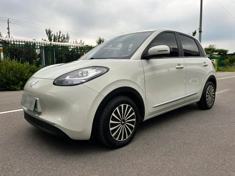 Wuling Bingo, 2023