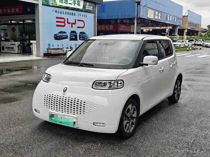 Ora White Cat 305km Luxury Version, 2020 — фото 1