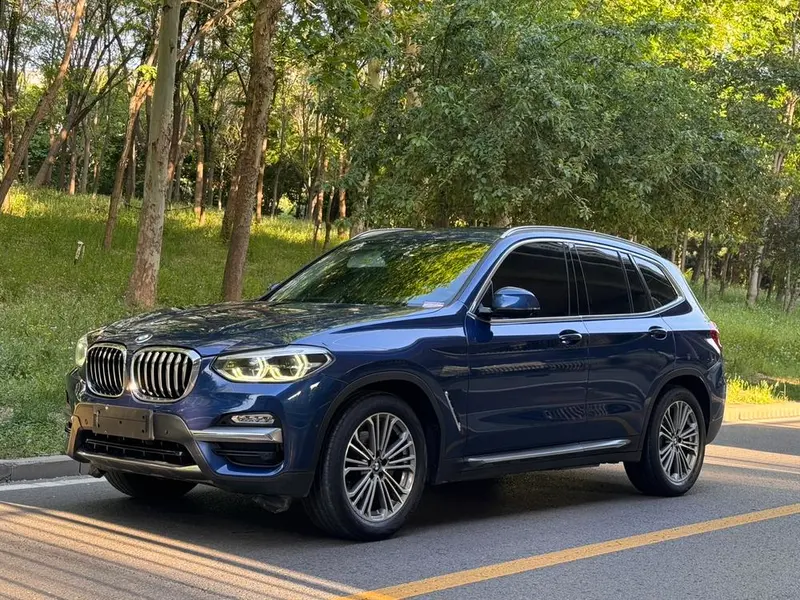 BMW X3 xDrive28i Luxury CN5, 2018 — фото 1