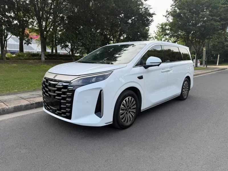 BYD Xia DM-i 100KM Version, 2025 — фото 1