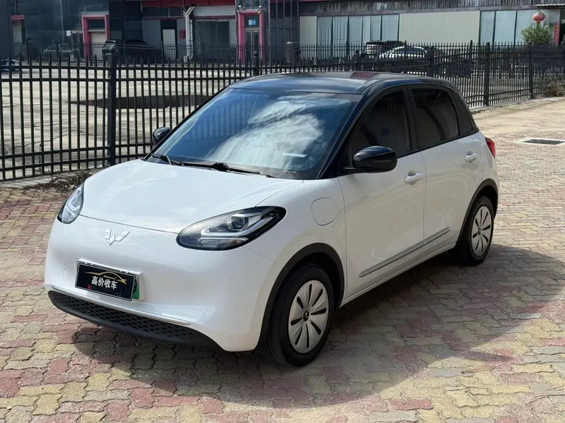 Wuling Bingo, 2025