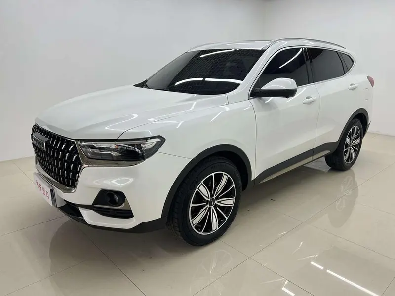 Haval H6 Trendy Edition 1.5T Auto Champion Edition, 2023 — фото 1