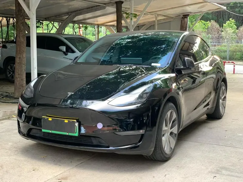 Tesla Model Y, 2021