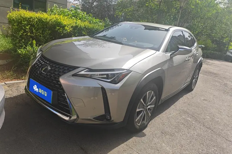 Lexus UX EV 300e · Joy, 2020 — фото 1