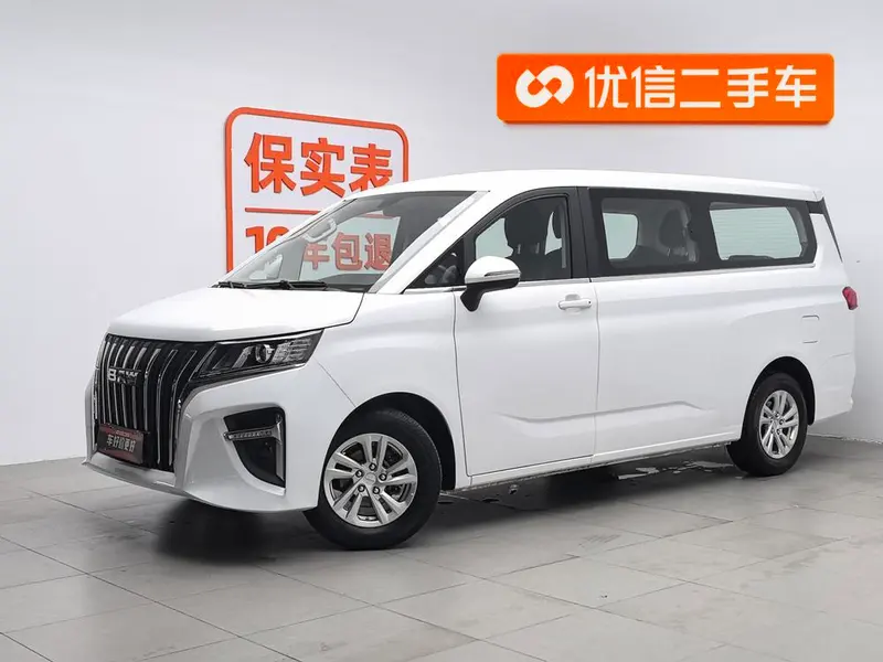BAW Ruisheng Wangpai M7, 2023