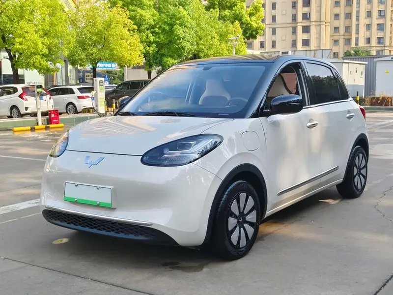 Wuling Bingo, 2024