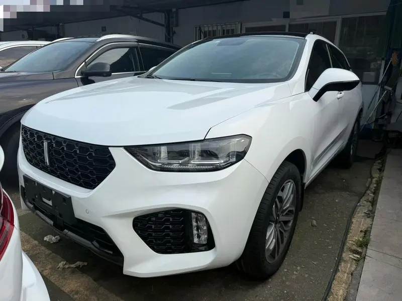 Wey VV5, 2017