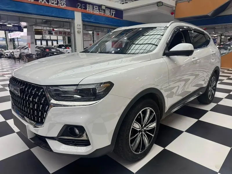 Haval H6 Trendy Edition 1.5T Auto Champion Edition, 2023 — фото 1