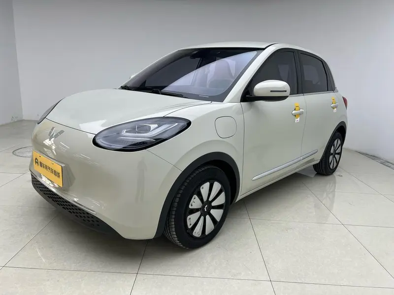 Wuling Bingo, 2023