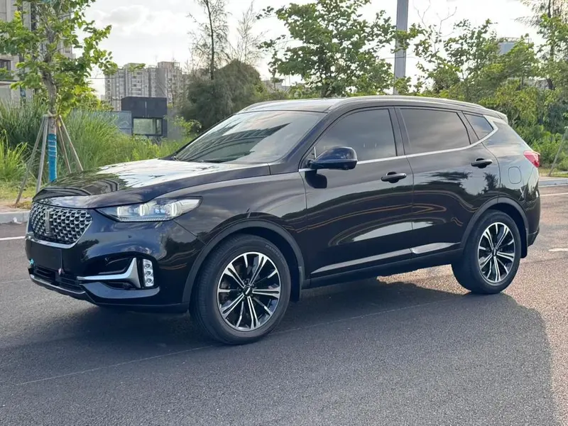 Wey VV6, 2021