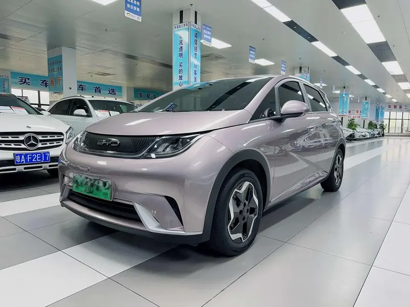 BYD Dolphin, 2021