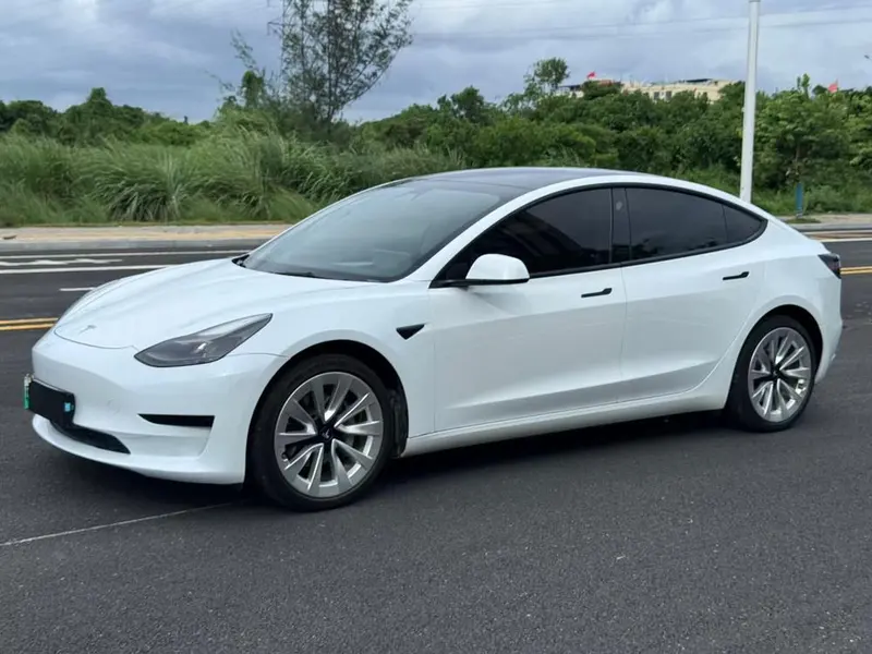 Tesla Model 3, 2021