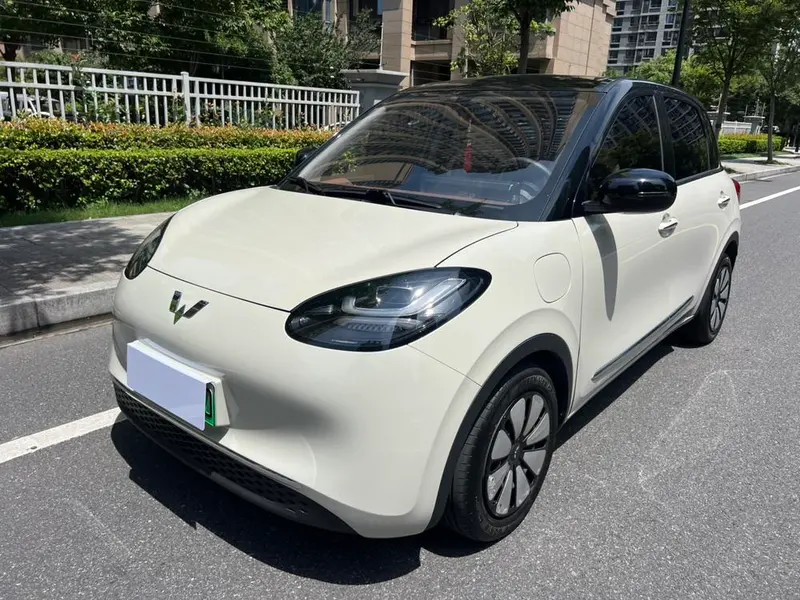 Wuling Bingo, 2024