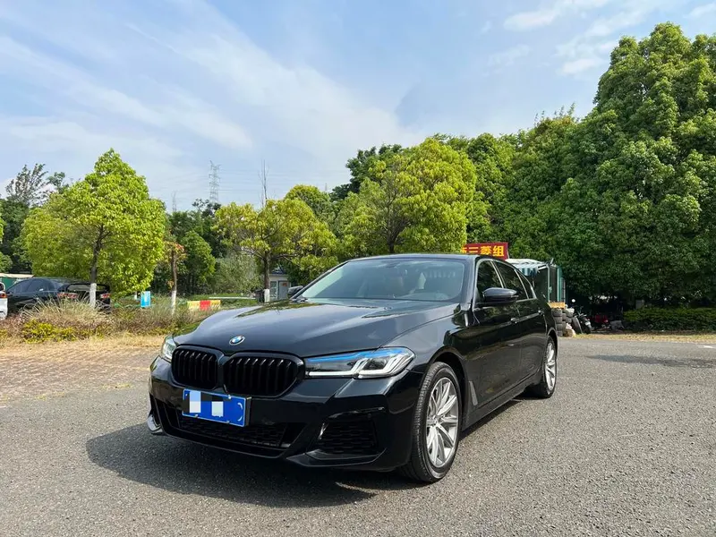 BMW 5-Series, 2018