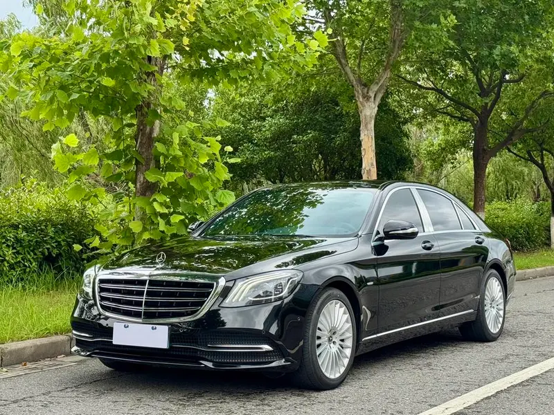 Mercedes-Benz S-Class S 350 L Business Version Refined Edition, 2020 — фото 1