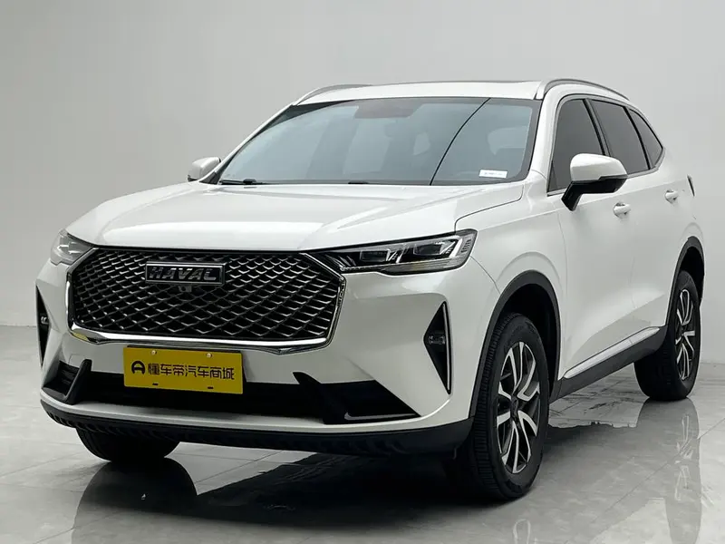 Haval H6 1.5GDIT Auto Pro Edition, 2021 — фото 1