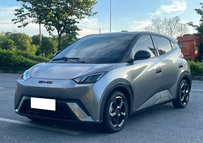 BYD Seagull, 2024