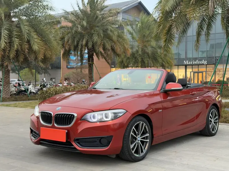 BMW 2-Series (Import), 2018