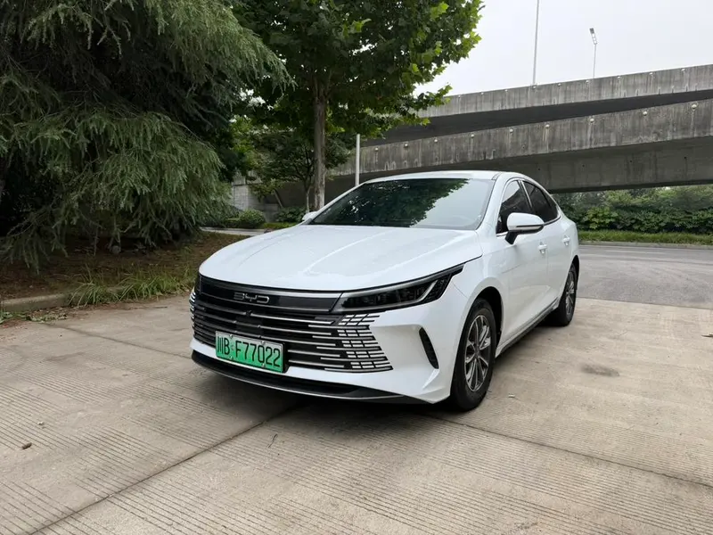 BYD Destroyer 05 Glory Edition DM-i 55KM Luxury Version, 2024 — фото 1