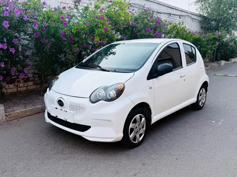 BYD e1, 2019
