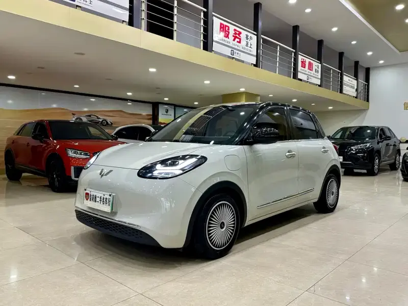 Wuling Bingo, 2023
