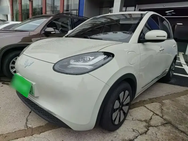Wuling Bingo, 2024