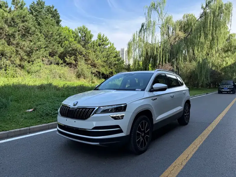 Skoda Karoq, 2018