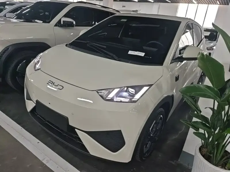 BYD Seagull, 2025