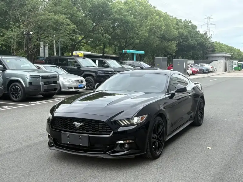 Ford Mustang, 2019