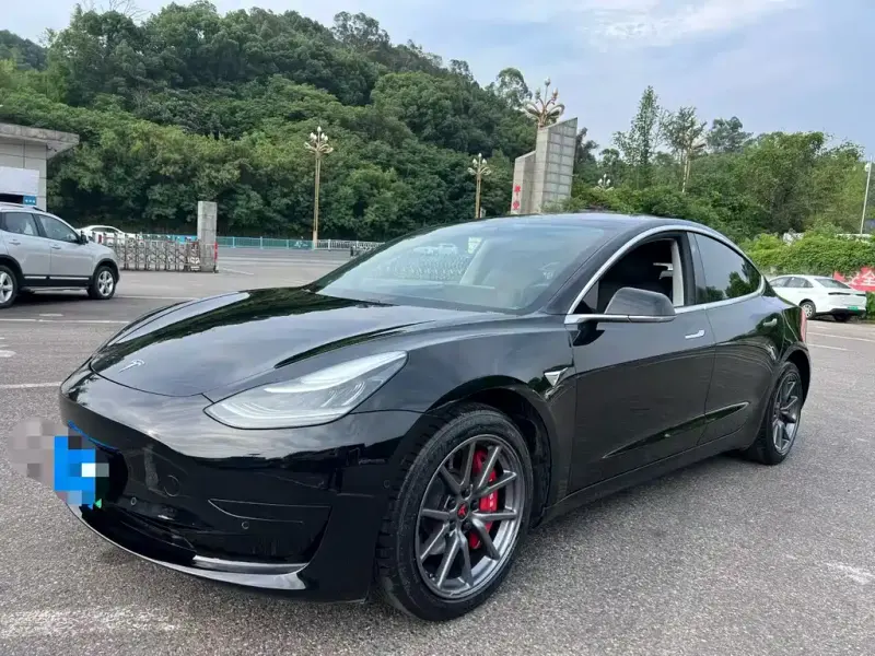 Tesla Model 3, 2020