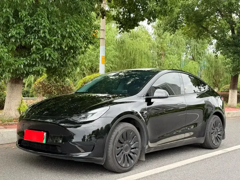 Tesla Model Y, 2024