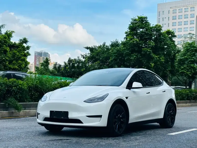 Tesla Model Y, 2021