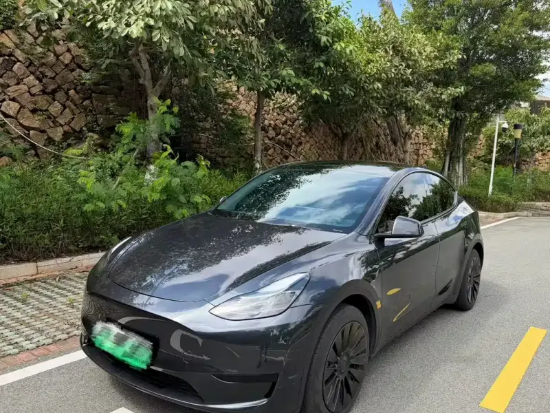 Tesla Model Y, 2024