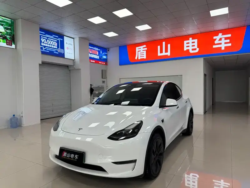 Tesla Model Y, 2024