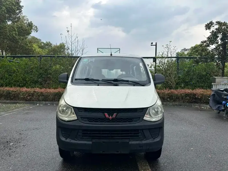 Wuling Zhiguang, 2015