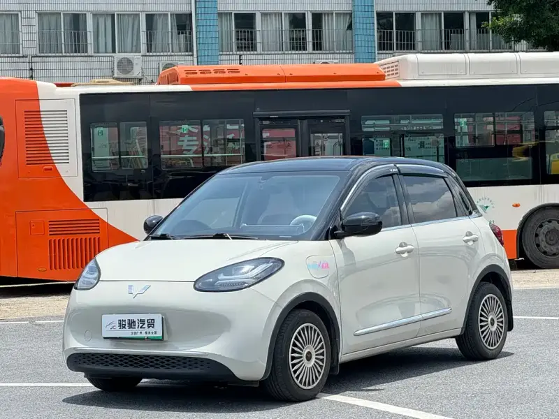 Wuling Bingo, 2024