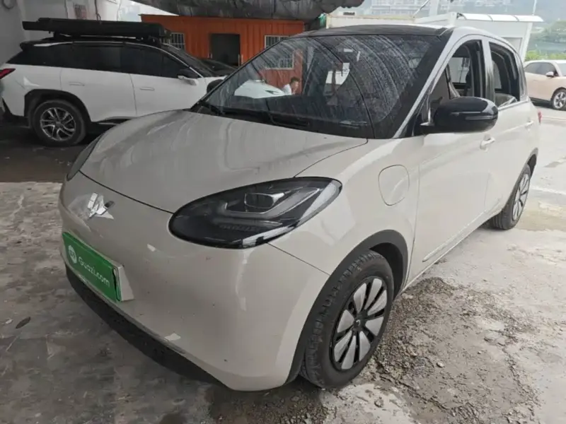 Wuling Bingo, 2024
