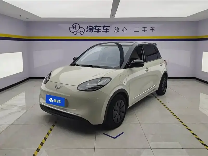 Wuling Bingo, 2024