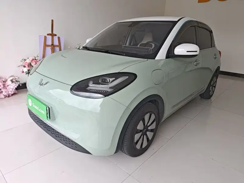 Wuling Bingo, 2024