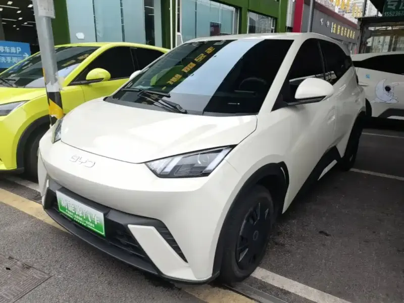 BYD Seagull, 2025