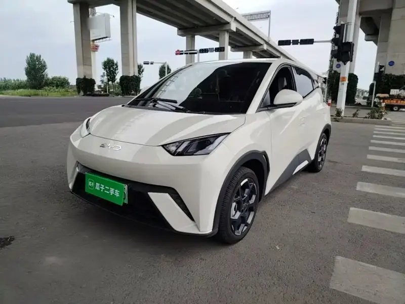 BYD Seagull, 2025