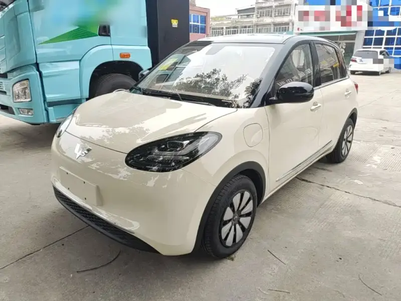 Wuling Bingo, 2026