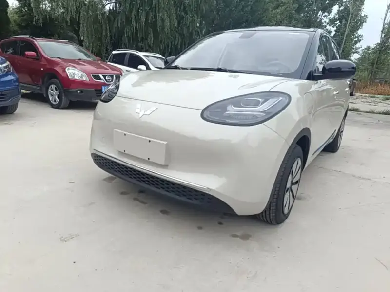 Wuling Bingo, 2026
