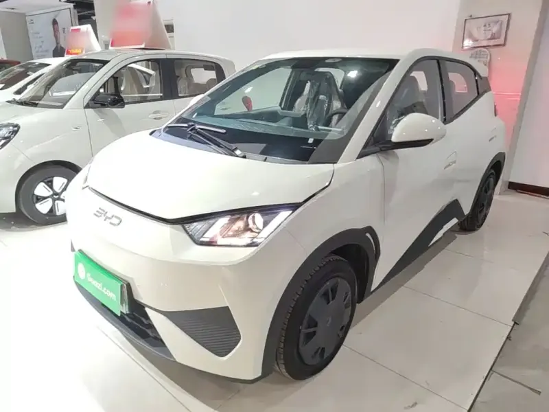 BYD Seagull, 2026