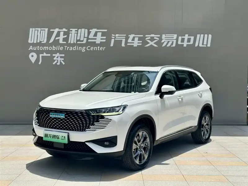 Haval H6 New Energy, 2023 — фото 1