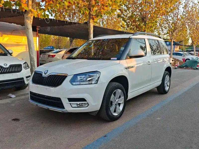Skoda Yeti, 2017 — фото 1