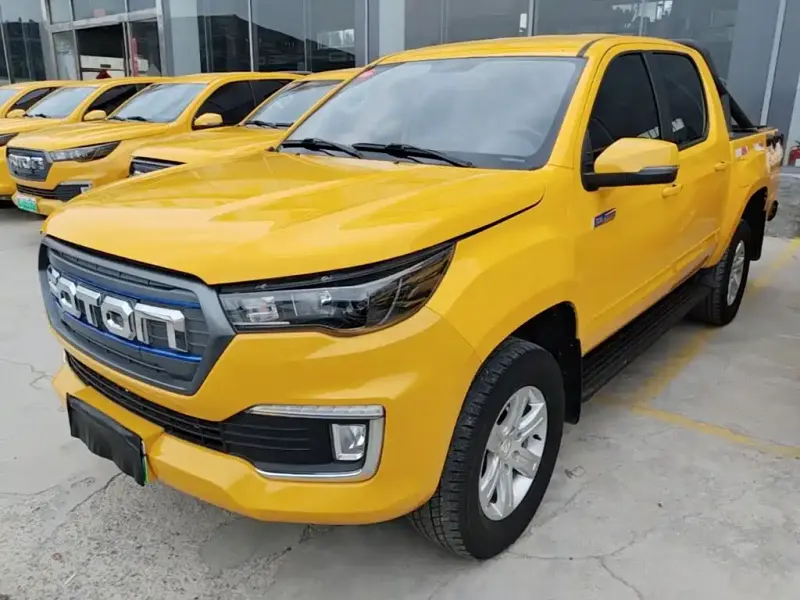Foton EV, 2021
