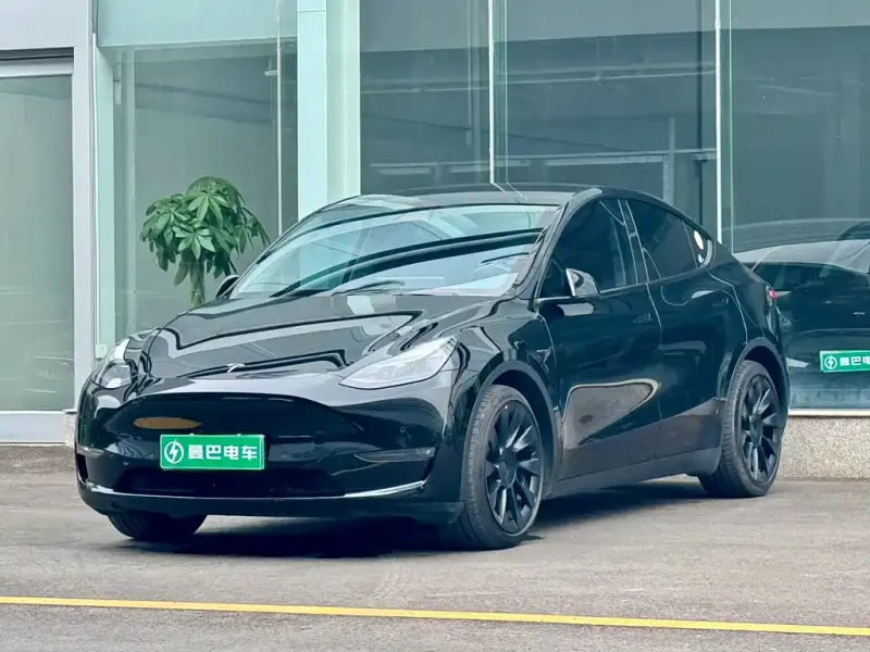 Tesla Model Y, 2021