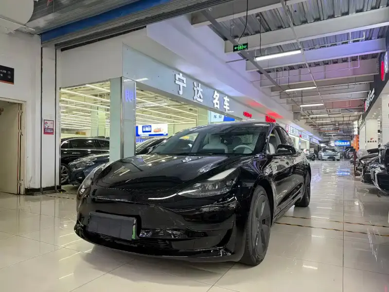 Tesla Model 3, 2021