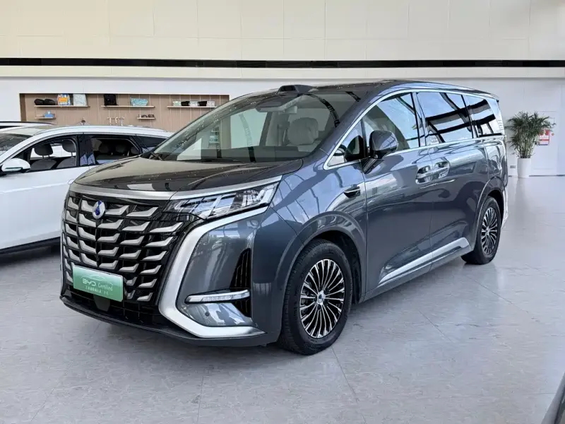 Denza D9, 2025